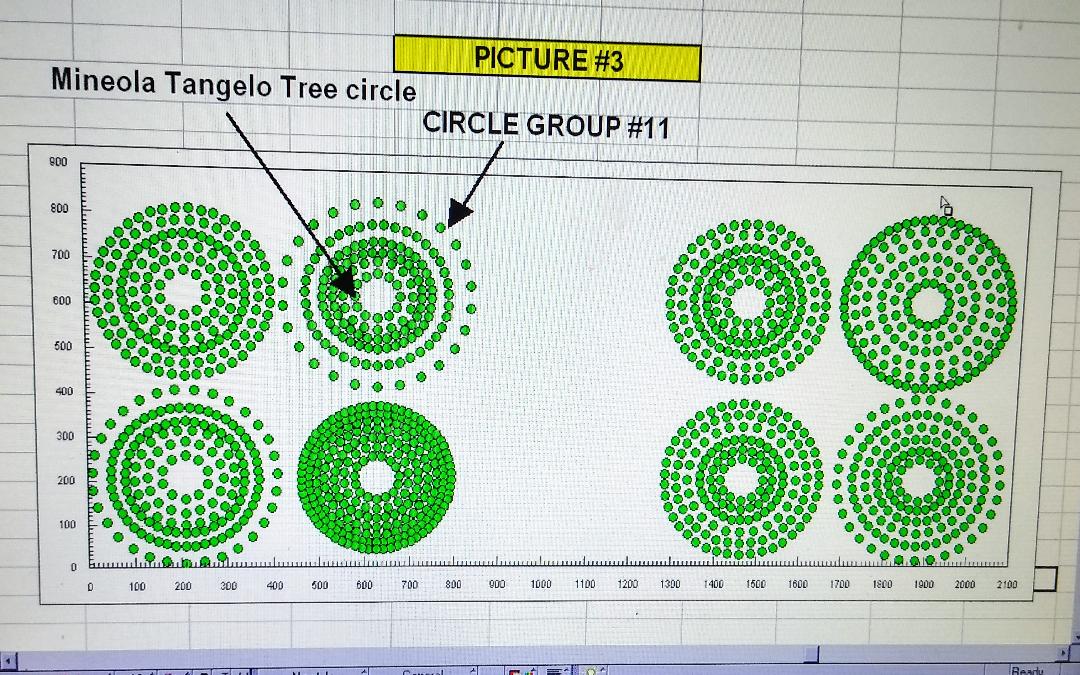 Mathematical and Geometrical formulas used to graph tree circles